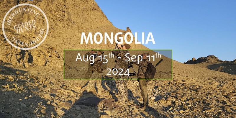 Hunting in Mongolia next IberHunting guided trip in 2024