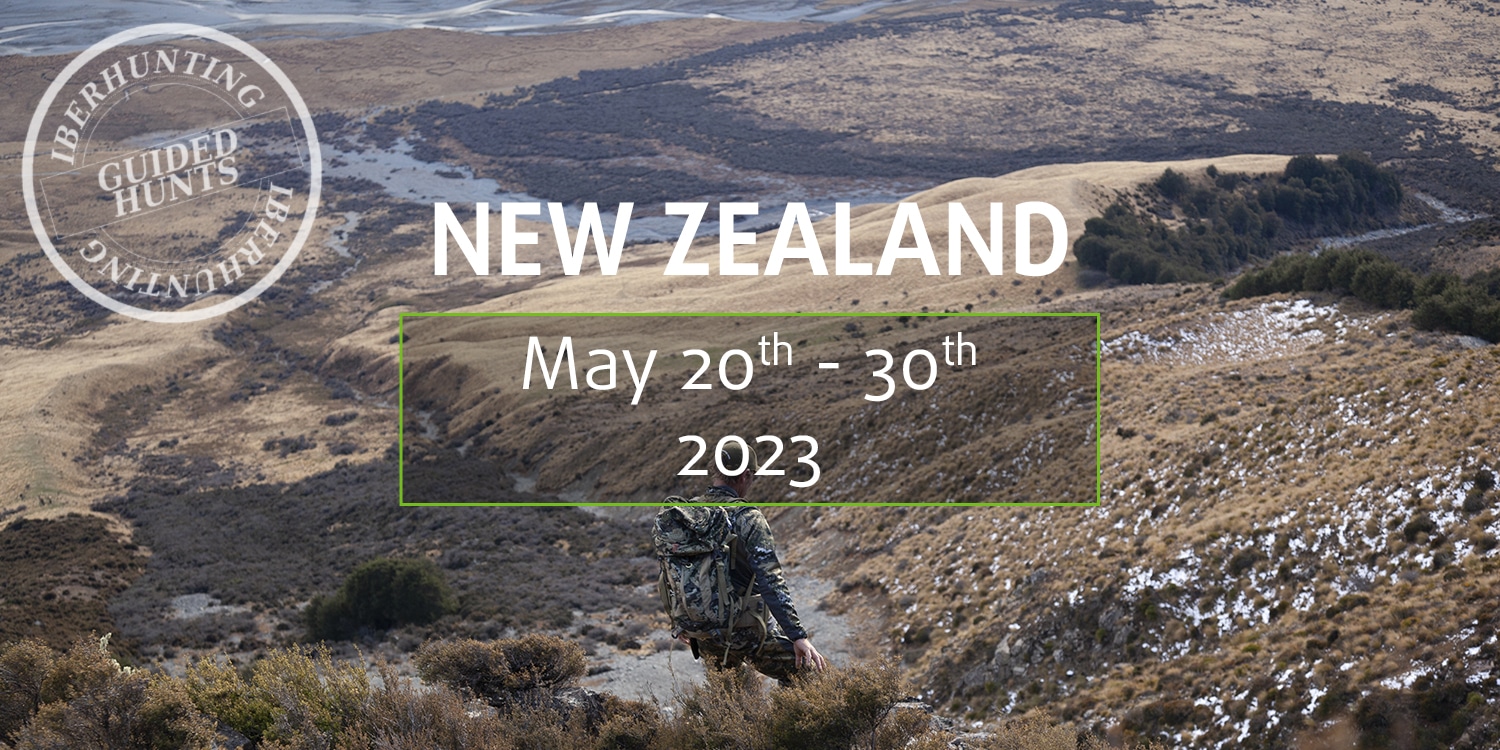 Book your next guided hunt in New Zealand to hunt red deer, himalayan Tahr or roe deer