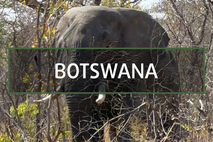 Botswana hunting gallery
