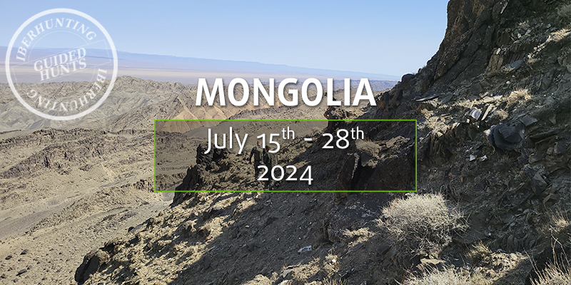 Hunting in Mongolia next IberHunting guided trip in 2024