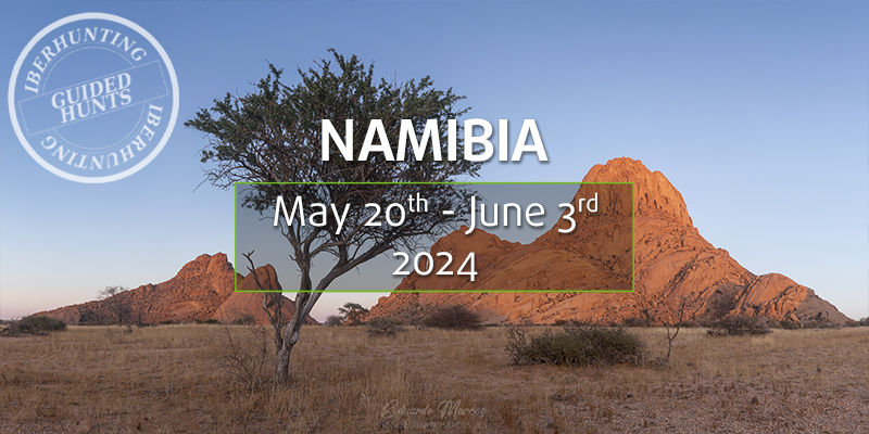 Namibia hunt with IberHunting 2024