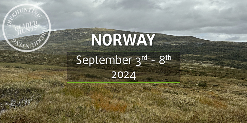 Hunting in Norway next IberHunting guided trip in 2024