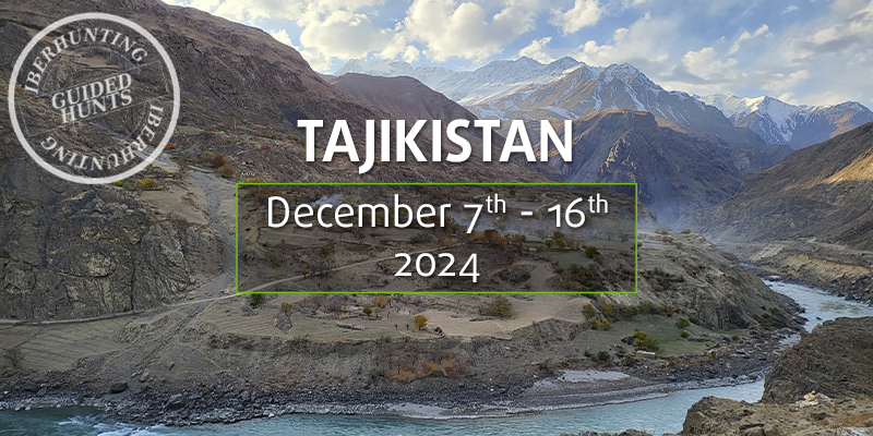 Hunt Marco Polo in Tajikistan. IberHunting 2024