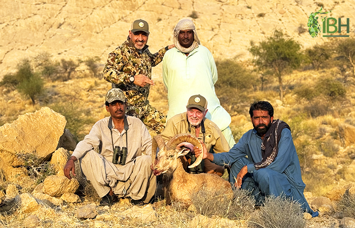 Jerry's Blandford Urial hunting trophy in Pakistan