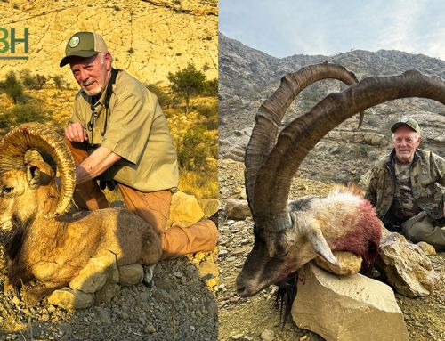 Hunting in Pakistan: Blandford Urial and Sindh Ibex hunt