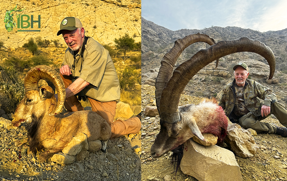 Picture from the hunting blog: Hunting in Pakistan: Blandford Urial and Sindh Ibex hunt