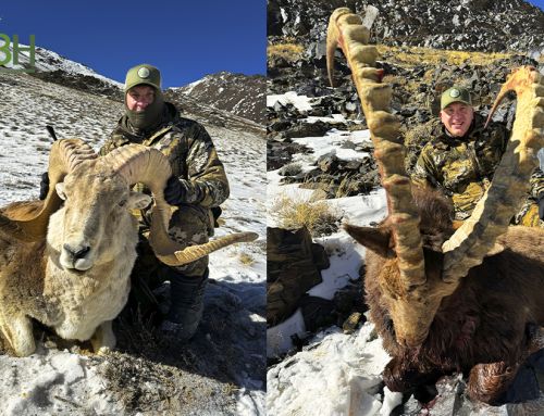 Hunting in Tajikistan: Pamir Ibex and Marco Polo hunt