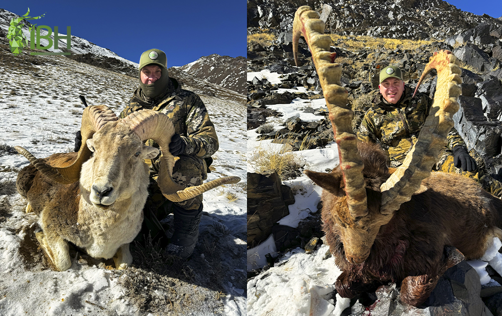 Picture for the hunting blog: Hunting in Tajikistan: Pamir Ibex and Marco Polo hunt