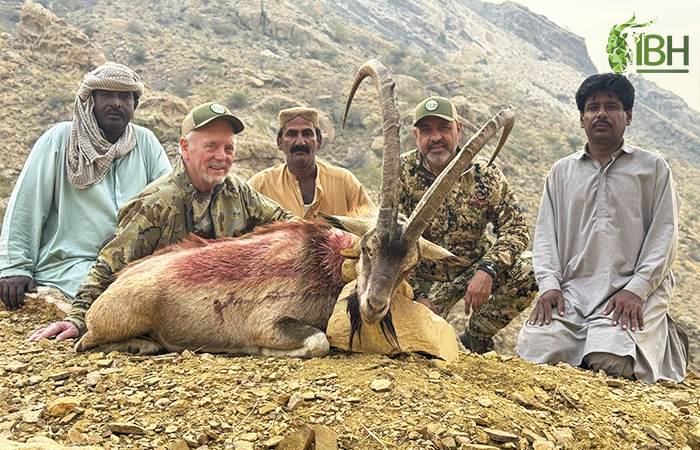 Sindh ibex hunt in Pakistan