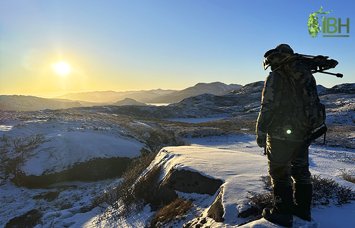Hunter admiring the beauty of the landscape before hunting muskox in Greenland