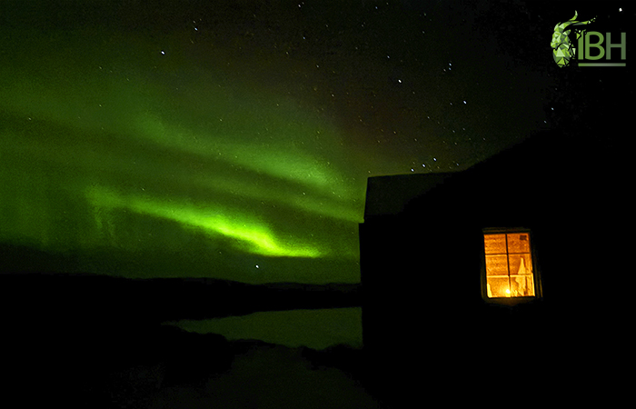 Northern Lights picture in the hunting area for hunting muskox in Greenland