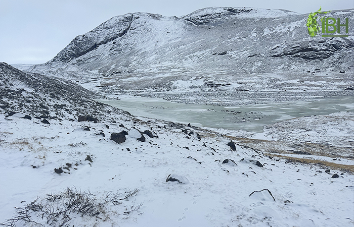 Hunting area for hunt muskox in Greenland