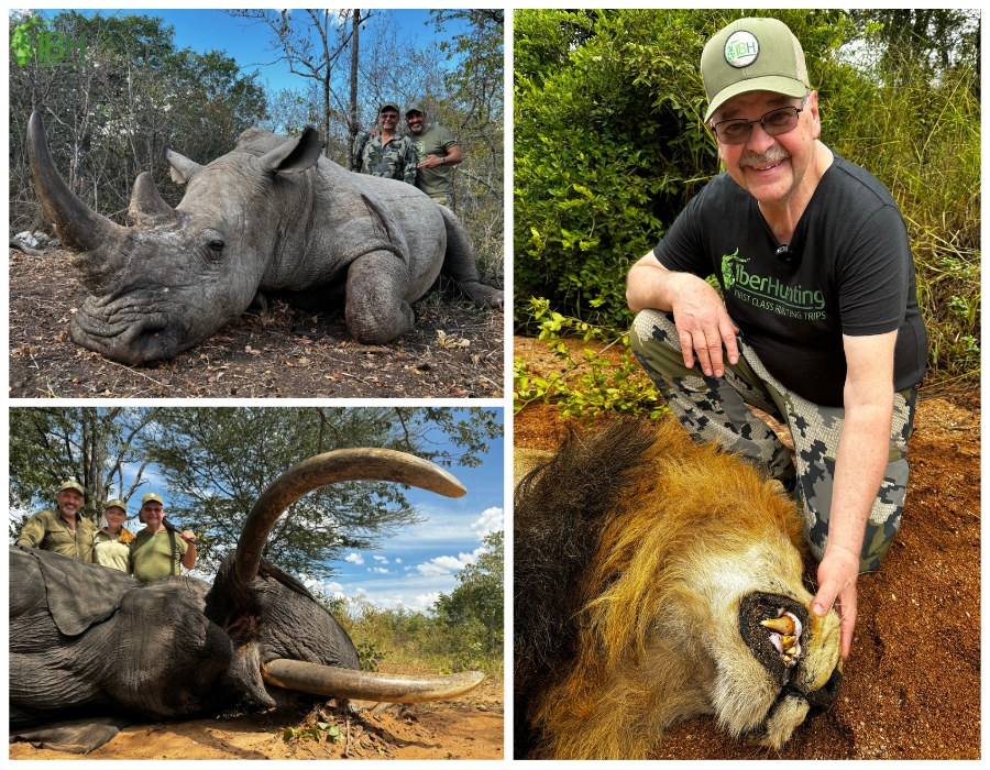 collage of pictures with Rhino, Elephant and Lion hunt for Big Five Africa