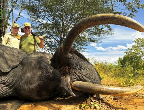 Pursuing Giants: Elephant Hunt in Botswana