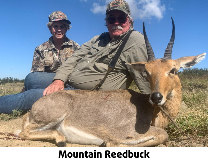 Mountain Reedbuck for the Tiny Ten in Africa