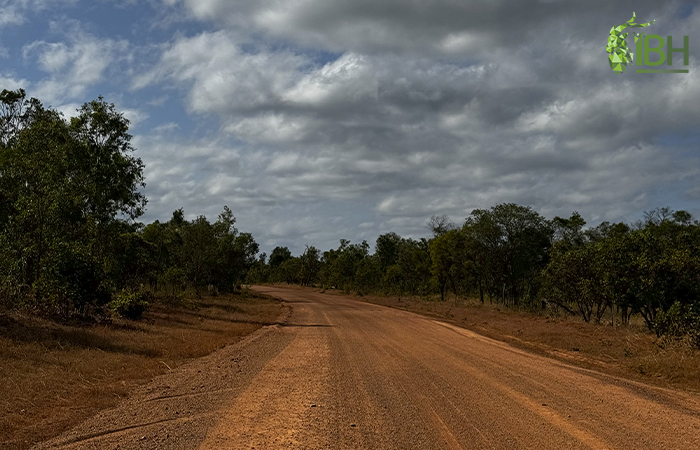 Landscape of the hunting area for wild ox in Australia.