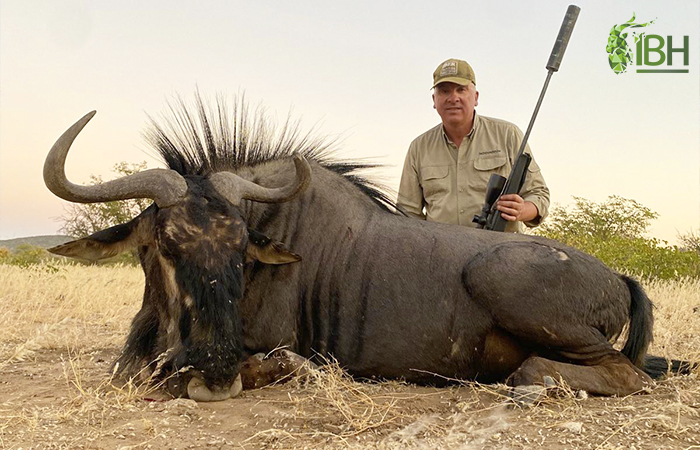 Zebra Namibia hunt.