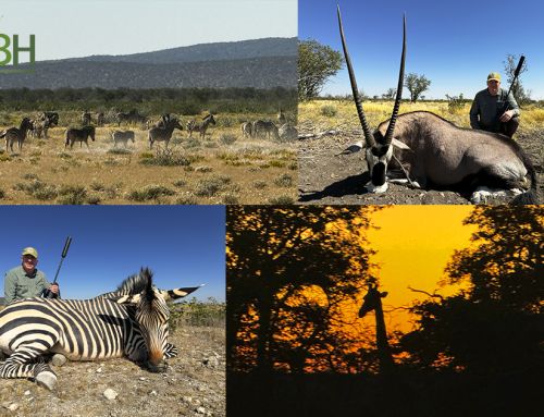 Discover the Thrill of Namibia Hunting