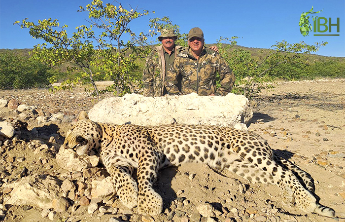 Zebra Namibia hunt.