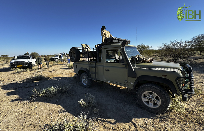 Transport for our Namibia hunting trip.