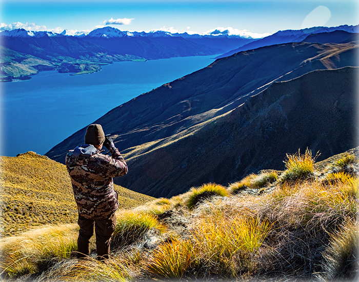 Hunting in New Zealand info program
