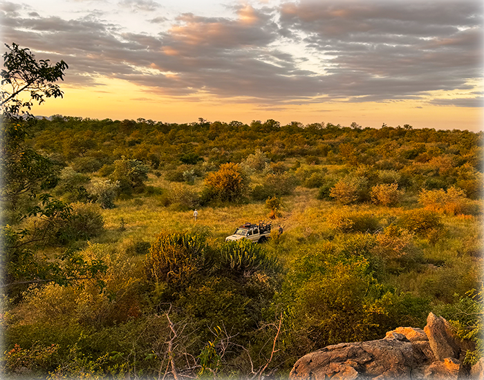 Hunting safaris in South Africa