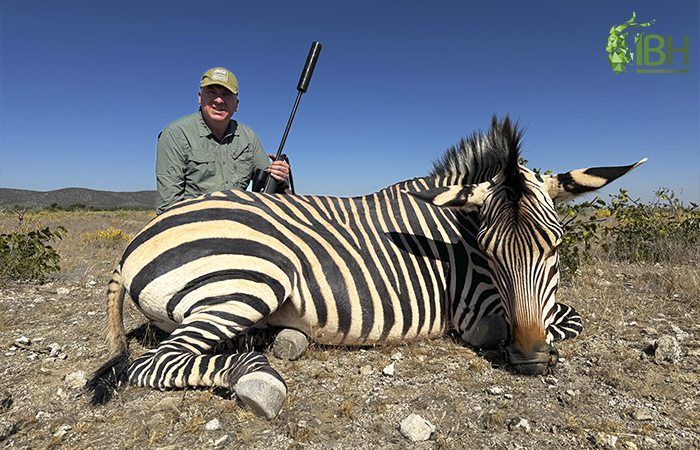 Zebra Namibia hunt.