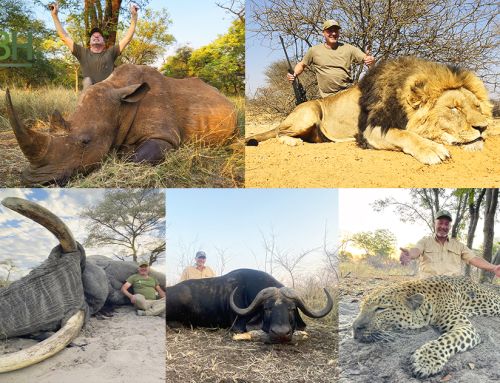 Big Five in Africa Completed!