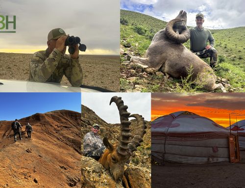 Our latest Gobi Ibex Hunt in Mongolia