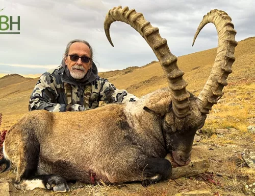 Altai Ibex Mongolia – A Hunting Adventure with Curtis