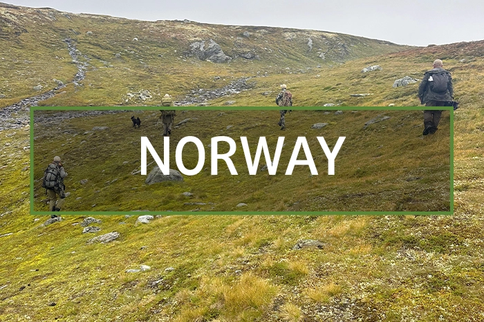 Norway Hunting Gallery