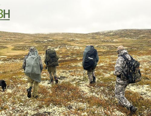 Caribou Hunt in Norway: A Thousand Emotions