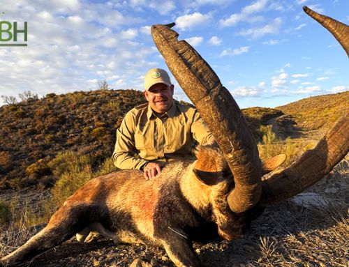 Lifetime Ibex: An Unforgettable Ibex Hunt in Spain