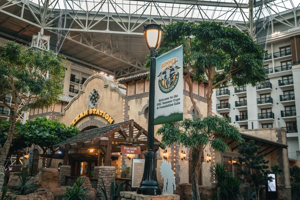 DSC Summer Expo 2026 travel guide for hunters in Grapevine Texas