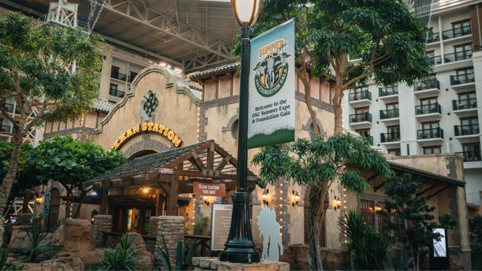 DSC Summer Expo 2026 travel guide for hunters in Grapevine Texas