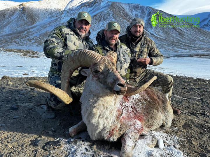 Marco Polo Argali hunting in Tajikistan