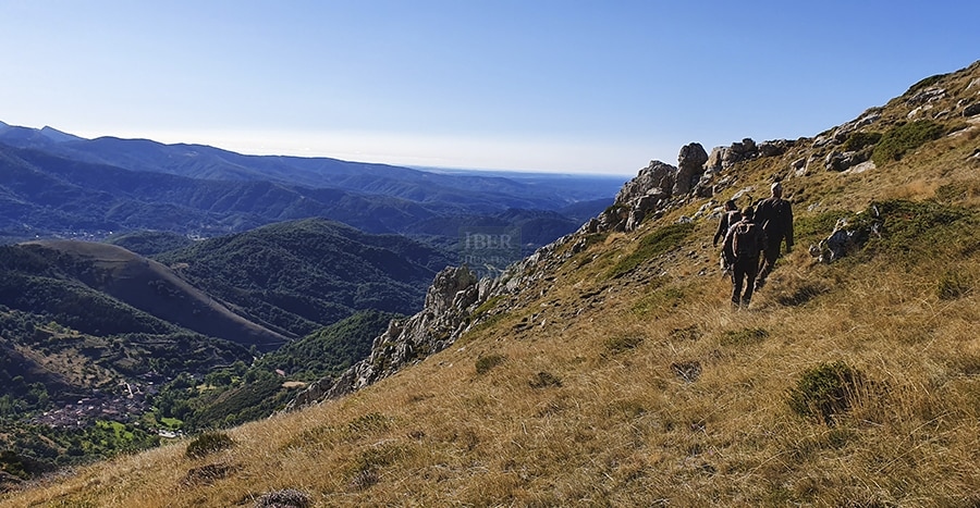 Hunters looking for cantabrian chamois