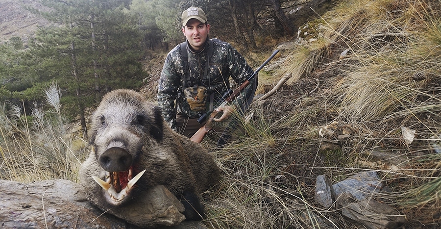 wild boar hunting trophy at the mountains