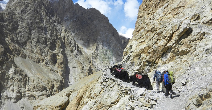 Hunters with guides hunting in Pakistan